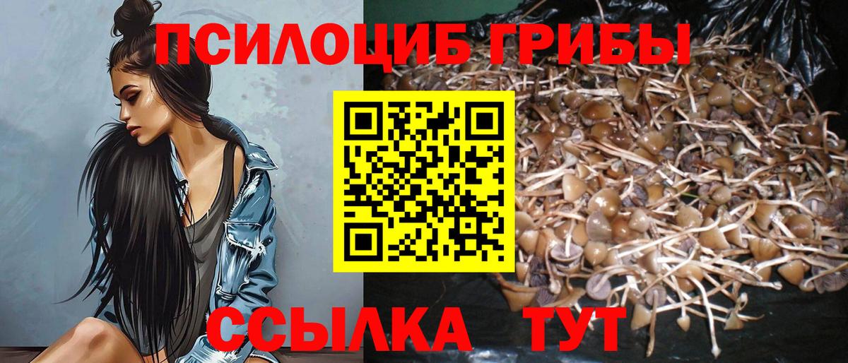 Псилоцибиновые грибы GOLDEN TEACHER Долгопрудный